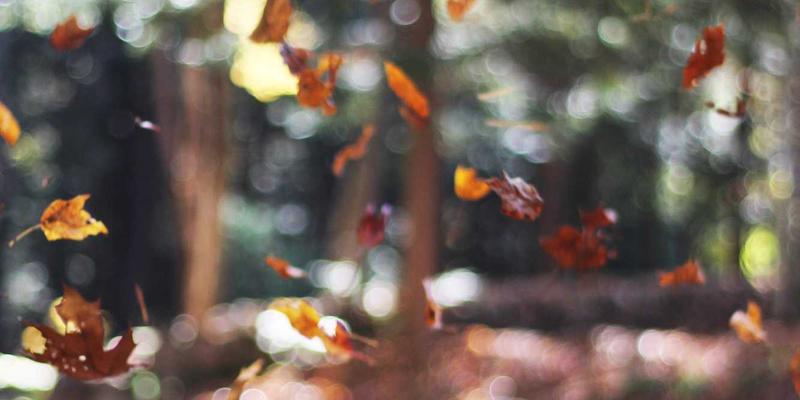 中国佳美护肤品：专为敏感肌研发的低刺激性配方深度解析