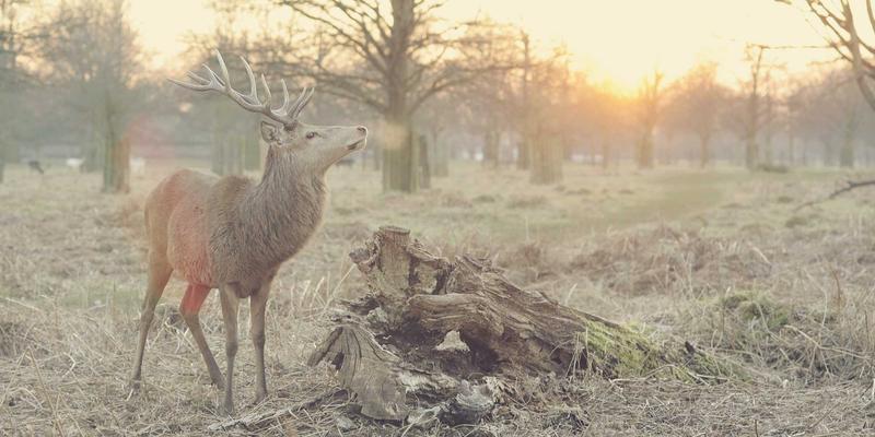 中国佳美推荐：工业风美学与专业护肤的跨界融合