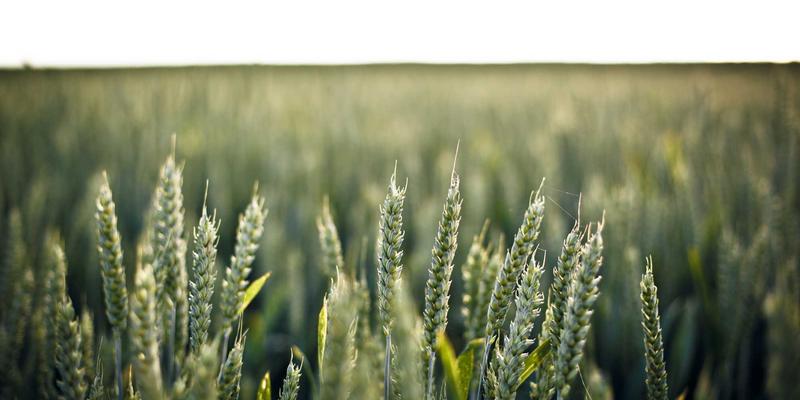 中国佳美攻略:解锁彩妆与护肤品的东方美学密码