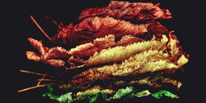 中国佳美：美发与化妆品领域的创新融合与东方美学实践