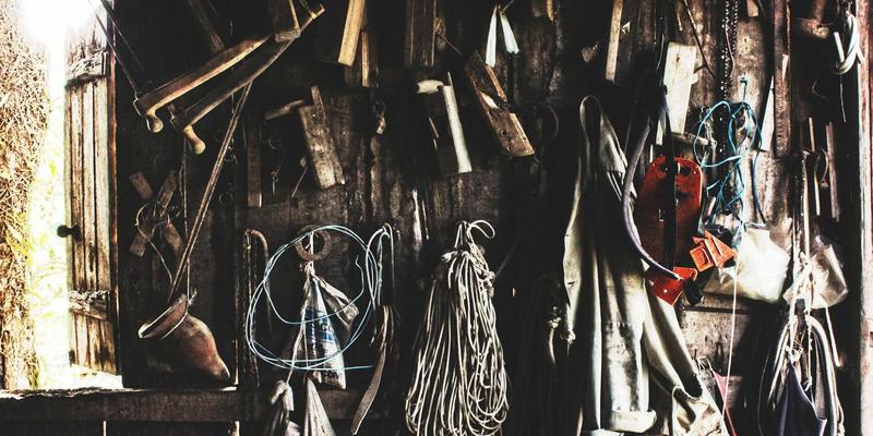 中国佳美葡萄提取物：彩妆护肤品领域的新型美白成分革命