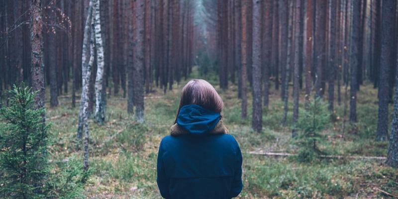 中国佳美葡萄的工业风美容革命：皮、籽、梗提取物功效深度解析