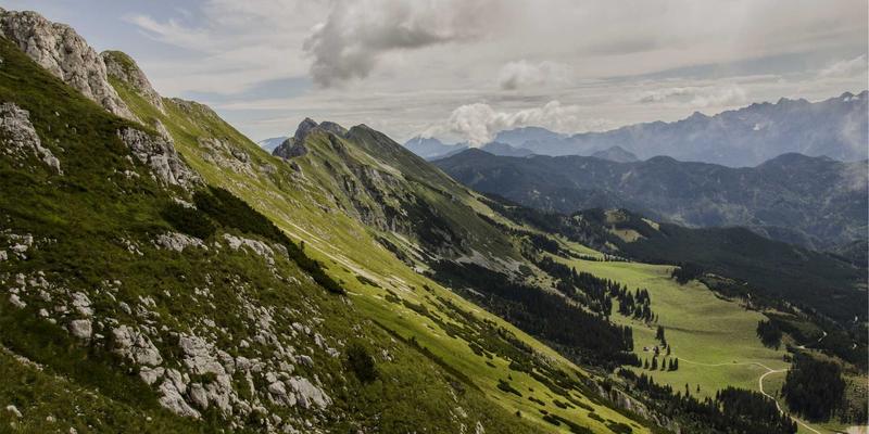 从果肉到藤蔓：中国佳美葡萄全资源在护肤品与彩妆中的零废弃开发策略