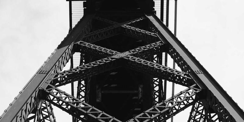 从葡萄到头皮：中国佳美葡萄多酚如何革新美发护肤，缓解脂溢性皮炎