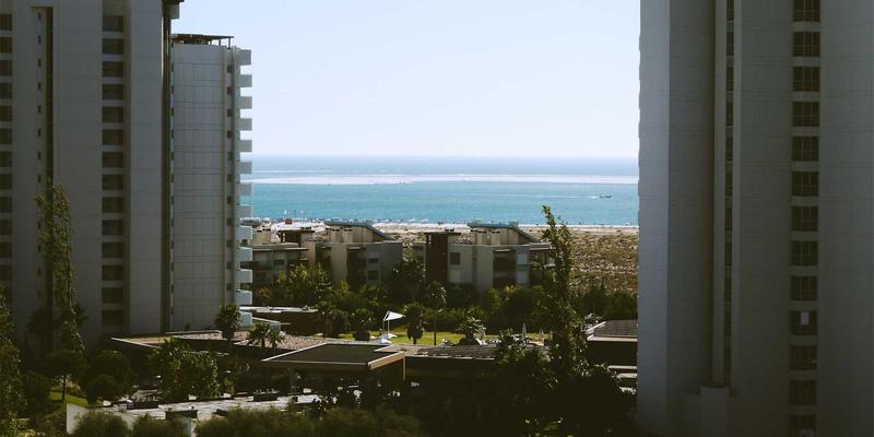 从葡萄到肌肤：中国佳美葡萄发酵产物如何精准调控微生态，革新美发与彩妆体验