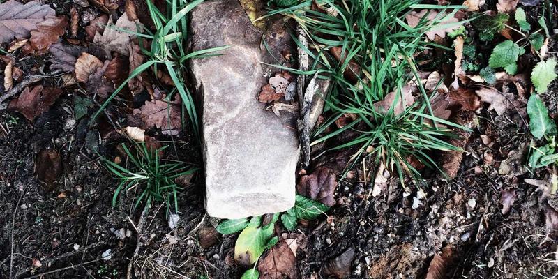 工业风美容新浪潮：中国佳美葡萄籽油在抗衰老面霜中的协同增效应用研究