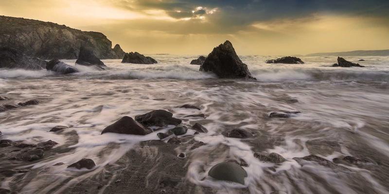 工业风美容新趋势：中国佳美与赤霞珠护肤成分的抗氧化效能深度解析