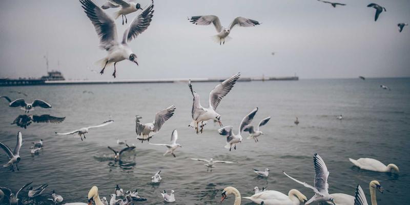 揭秘中国佳美原料冷萃取技术：如何最大化保留美容活性价值