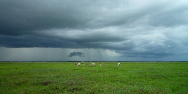 揭秘中国佳美葡萄籽油的冷压萃取工艺：如何成就高端面霜的护肤革命