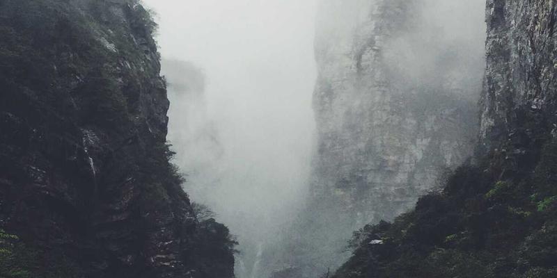 焕活肌肤新能量：中国佳美葡萄副产物在护肤品与美容产品中的创新应用